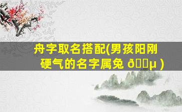 舟字取名搭配(男孩阳刚硬气的名字属兔 🐵 )